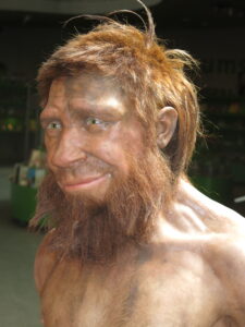 Om de Neanderthal (chip reconstruit)