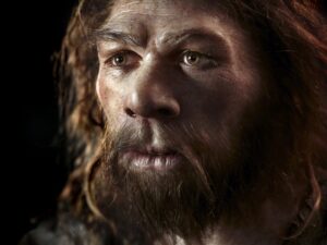 Om de Neanderthal (chip reconstruit)