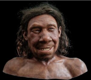 Krijn, om de Neanderthal (chip reconstituit)